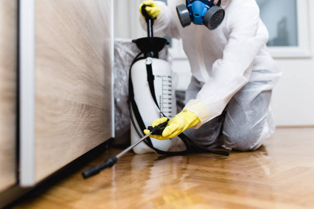 Best Wasp Removal Services  in Cardington, OH