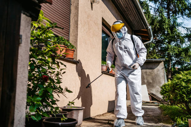 Best Rat Extermination Near Me  in Cardington, OH