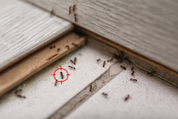 Best Affordable Pest Control Services  in Cardington, OH