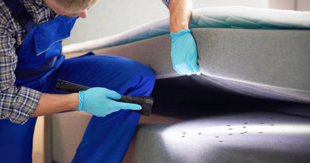 Best Affordable Pest Control Services  in Cardington, OH