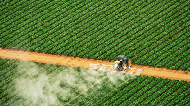 Best Pest Removal Services  in Cardington, OH