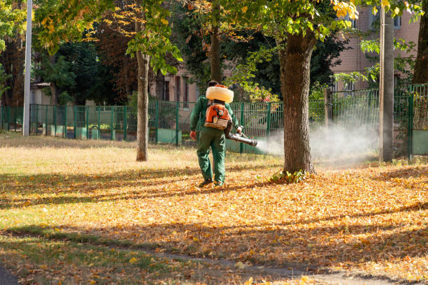 Best Bed Bug Extermination  in Cardington, OH