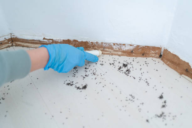 Pest Prevention Services in Cardington, OH