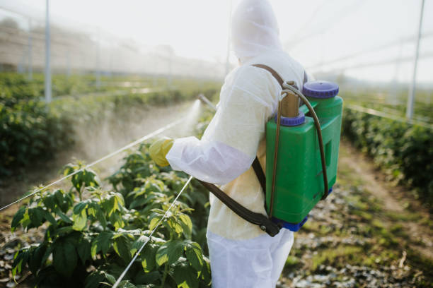 Best Termite Control Services  in Cardington, OH